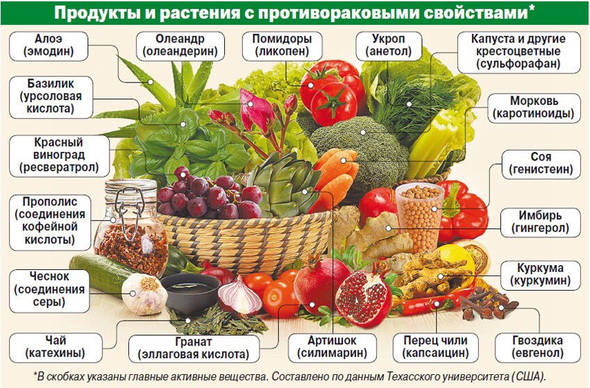 Овощи На Диете Список