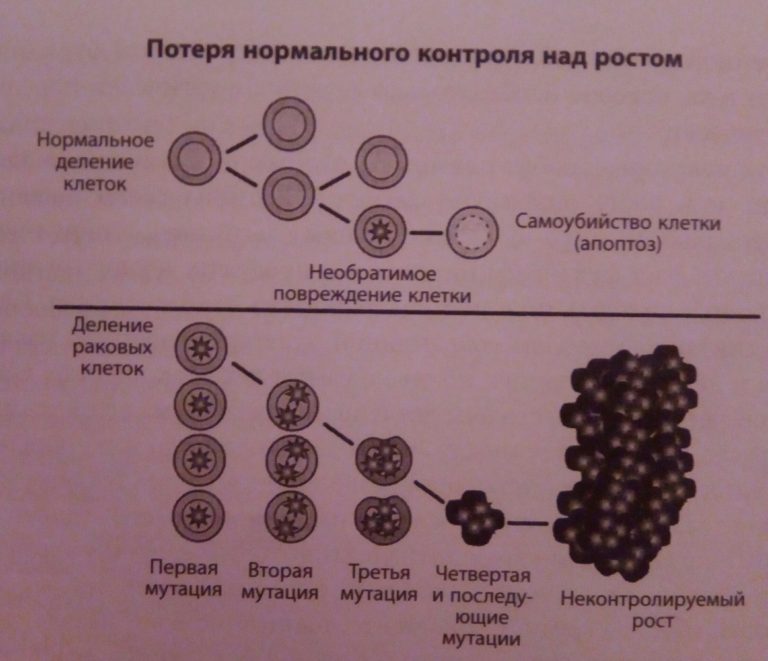 Как называется рак